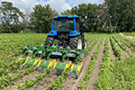 Inter-Row Tillers